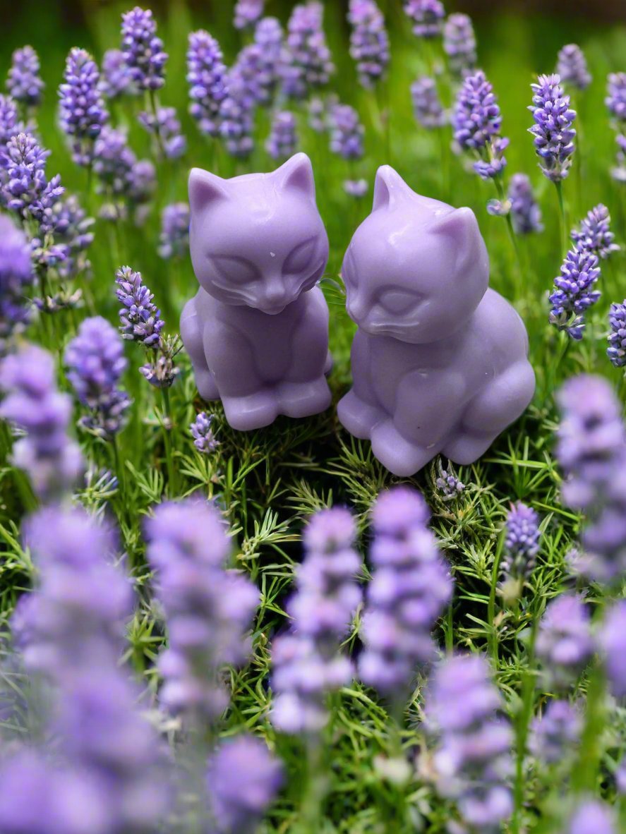 Lavendar Cat Soap